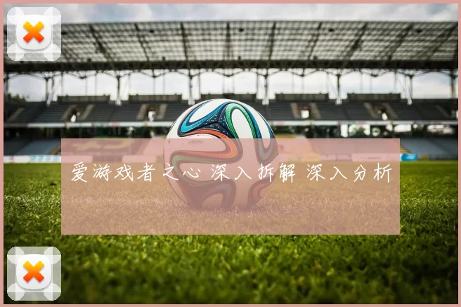 爱游戏者之心 深入拆解 深入分析