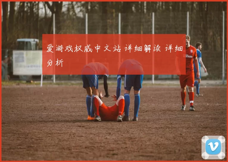 爱游戏权威中文站 详细解读 详细分析