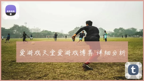 爱游戏天堂爱游戏博弈 详细分析