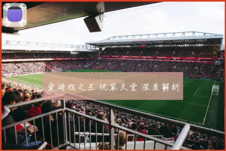爱游戏之王 玩家天堂 深度解析