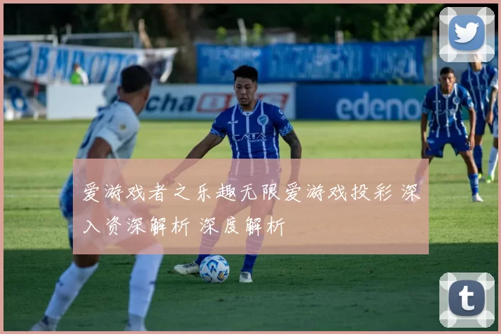 爱游戏者之乐趣无限爱游戏投彩 深入资深解析 深度解析