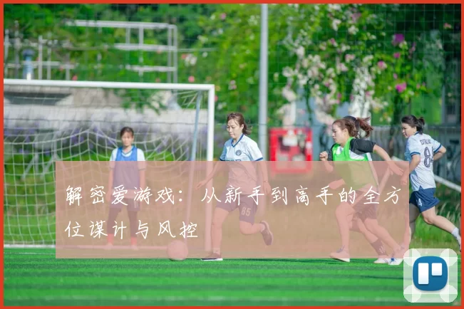 解密爱游戏：从新手到高手的全方位谋计与风控