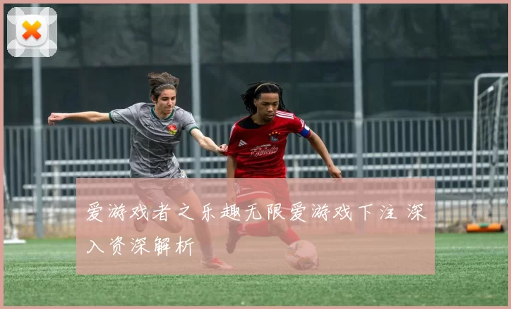 爱游戏者之乐趣无限爱游戏下注 深入资深解析