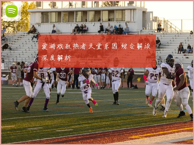 爱游戏狂热者天堂乐园 综合解读 深度解析