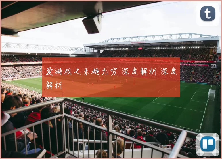 爱游戏之乐趣无穷 深度解析 深度解析