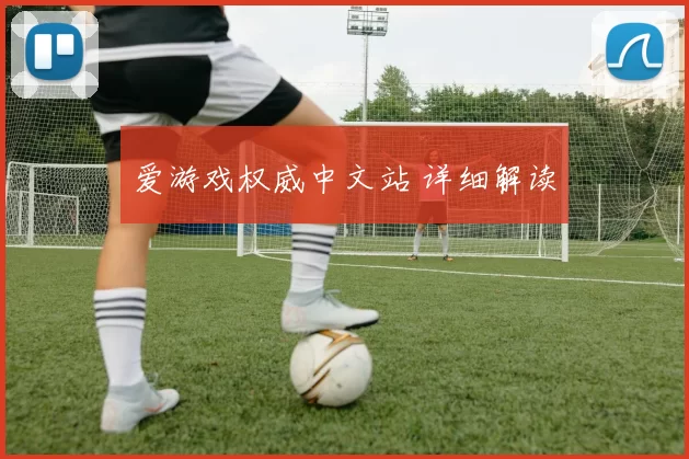 爱游戏权威中文站 详细解读