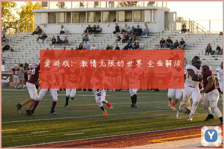 爱游戏：激情无限的世界 全面解读