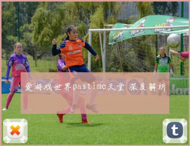 爱游戏世界pastime天堂 深度解析