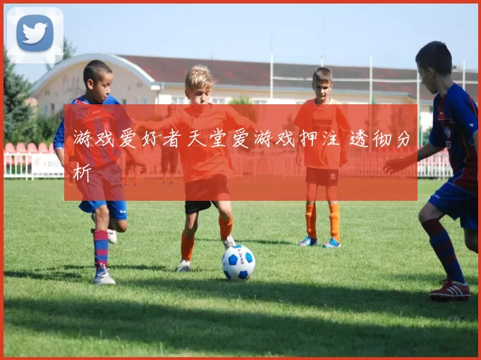 游戏爱好者天堂爱游戏押注 透彻分析