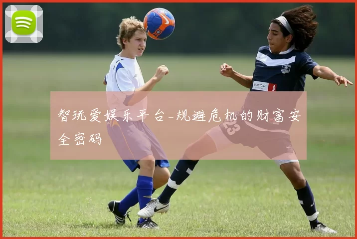 智玩爱娱乐平台_规避危机的财富安全密码