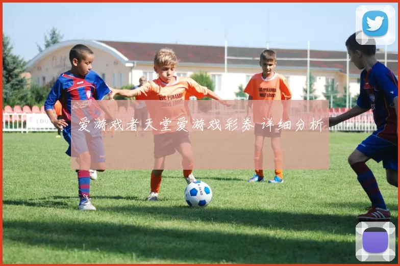 爱游戏者天堂爱游戏彩券 详细分析
