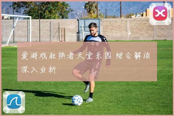 爱游戏狂热者天堂乐园 综合解读 深入分析