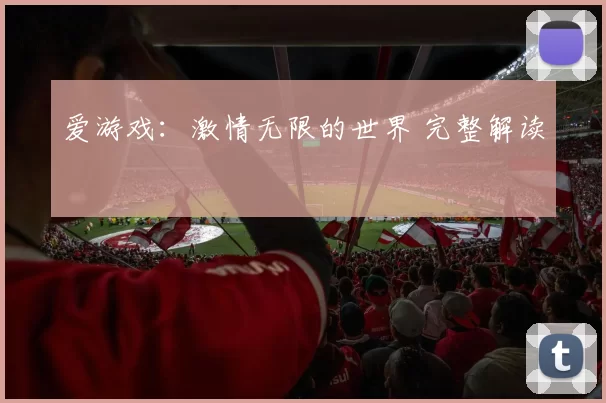 爱游戏：激情无限的世界 完整解读