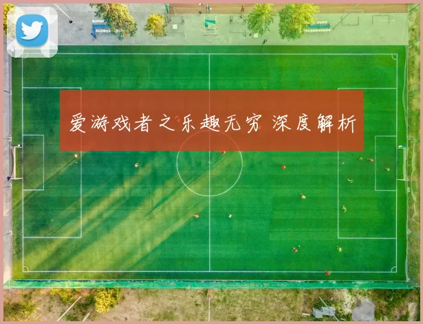 爱游戏者之乐趣无穷 深度解析