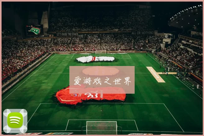 爱游戏之世界