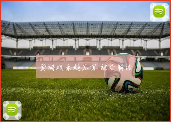 爱游戏乐趣无穷 综合解读