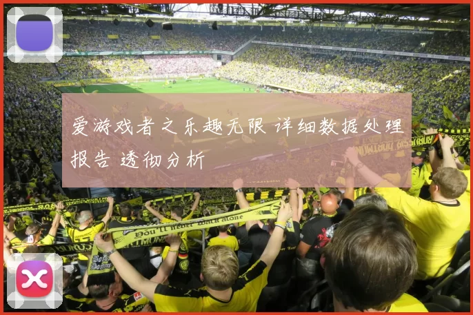 爱游戏者之乐趣无限 详细数据处理报告 透彻分析