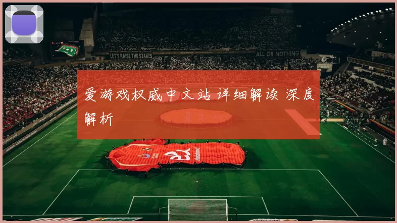 爱游戏权威中文站 详细解读 深度解析